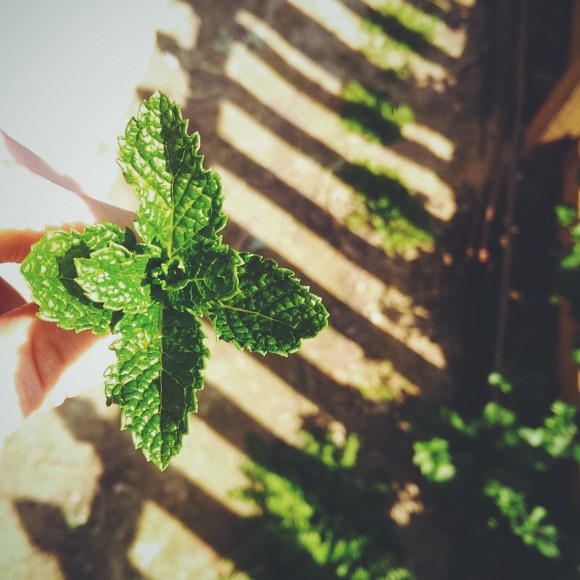 processed-with-vscocam-with-f2-preset-3