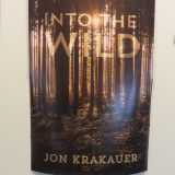 Into The Wild Book Cover