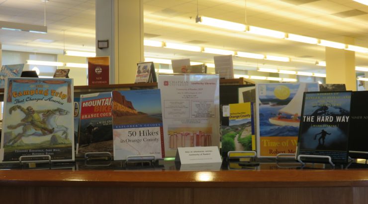 Display of summer activity-themed books on a desk