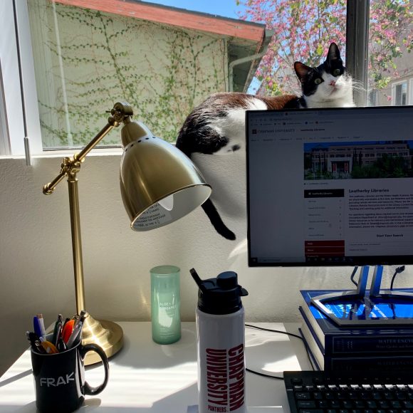 Photo of a desk in front of a window, with part of a computer monitor, a water bottle, and a lamp visible in the foreground, and a black and white cat sitting in the windowsill.
