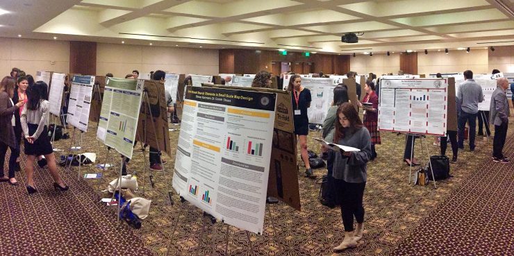 Research posters at the conference center