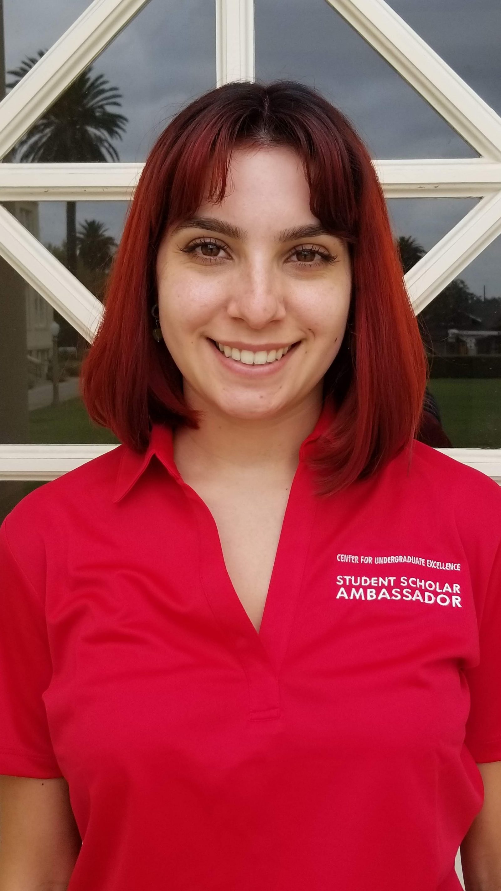 Resources at the Center for Undergraduate Excellence Student Scholar