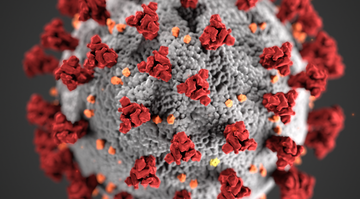 Image of COVID 19 Virus