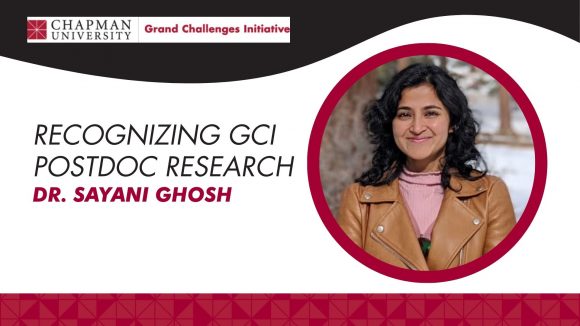 Dr. Sayani Ghosh: Equilibria and Effective Rates of Transition in