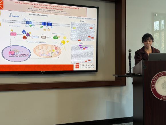 Aracely Acevedo, Ph.D.