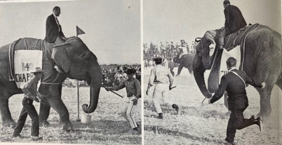 Elephant Races 1962